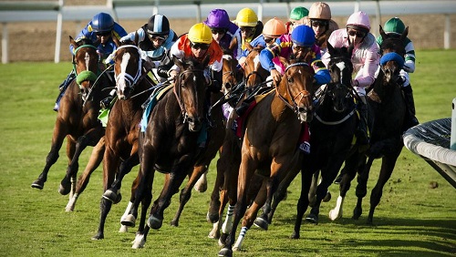 Horse betting systems nzx press information office nicosia betting